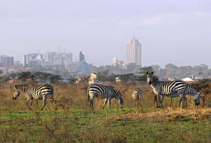 Budget Places to Visit in Nairobi